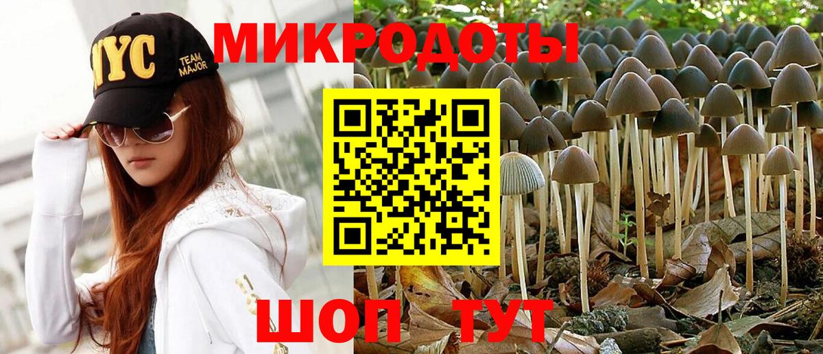 Псилоцибиновые грибы GOLDEN TEACHER  Вход с VPN  Сердобск  Псилоцибиновые грибы Psilocybine cubensis 